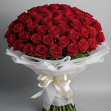 Букет 101 Красная роза Блэк Мэджик в Сергиевской