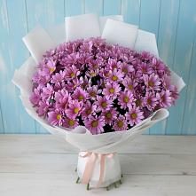 Букет цветов из:  Хризантемы в Сергиевской