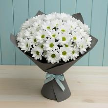 Букет цветов из:  Хризантемы #REPLACE_PRED# Сергиевской