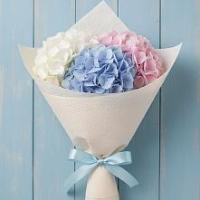 Букет цветов из:  Гортензия в Сергиевской