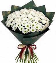 Букет цветов из:  Хризантемы #REPLACE_PRED# Сергиевской