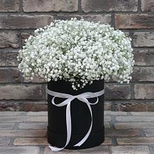 Цветочная композиция из Гипсофила в шляпной коробке в Сергиевской