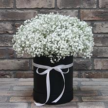 Цветочная композиция из Гипсофила в шляпной коробке в Сергиевской