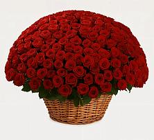 Премиум букет из: Розы в Сергиевской