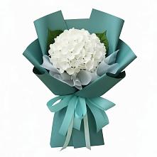 Букет цветов из:  Гортензия в Сергиевской